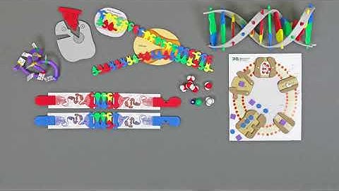 Student Modeling Packs with Digital Modeling Resources