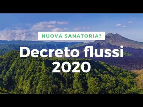 Decreto Flussi 2020 con la sanatoria per stranieri?