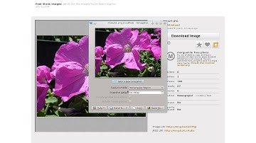 Collective.clipboardupload