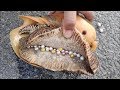 15 Most Amazing Treasures Found on the Beach!