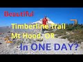 ONE DAY? Entire Timberline Trail on Mt Hood Spectacular Run Documentary