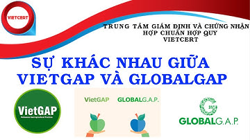 SO SÁNH GIỮA VIETGAP VÀ GLOBALGAP-VIETCERT
