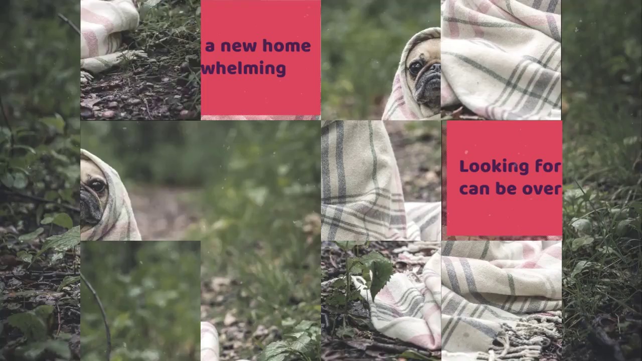 Take The Stress Out of Home Buying