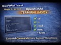 Chapter 1 — Section 4: OpenFOAM Terminal Basics (cd, ls, pwd, nano, and More)