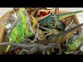 箱に入った恐竜フィギュアを沢山紹介！ スティラコサウルス　インドミナスレックス　lots of dinosaur figure box brachiosaurus allosaurus trex