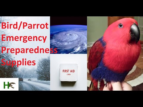 Bird/Parrot Emergency Preparedness Supplies