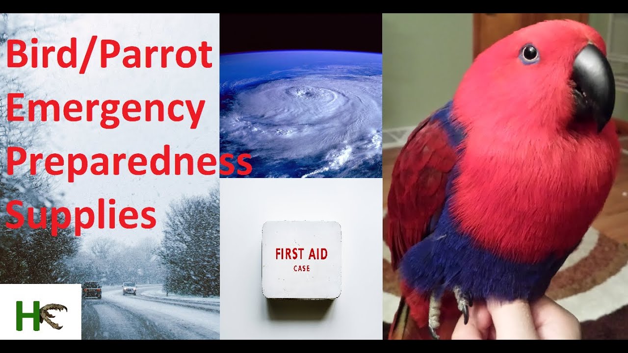 Bird/Parrot Emergency Preparedness Supplies