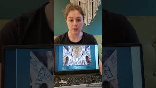Celebrity Baid Assignment 6 Task 4 Wealth