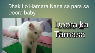 Dhak Lo Hamara Nana sa para sa Doora baby ❤/@pramilapradhan608
