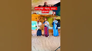 አስገራሚና ማራኪ አዲስ መንዙማ Youtubeshorts Habesha Mychannel መንዙማ Manzuma 