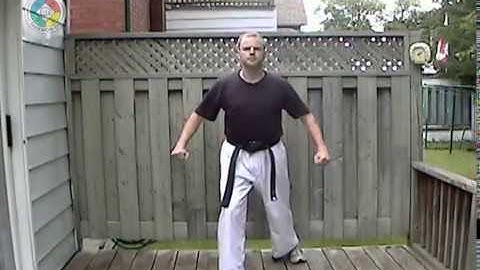 Taekwondo: Hapkido: Foundations: side kick, front view