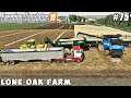 Harvesting soybeans, making & selling soybean straw bales | Lone Oak Farm | FS 19 | Timelapse #75