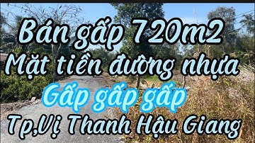 Bán gấp miếng đất vườn 720m2 mặt tiền đường nhựa giá ngộp 300 triệu hết đất Tp, Vị Thanh hậu Giang