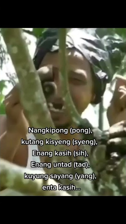 Vidio asli sound ditiktok nangkipong pong