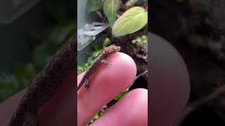 Multi-Species Ecosystem