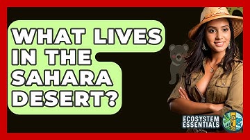 What Lives In The Sahara Desert? - Ecosystem Essentials