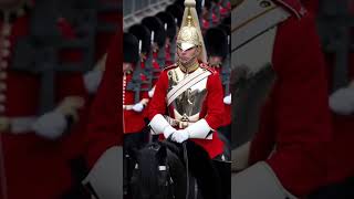 🐎 Wait… Did That Horse Just SALUTE? 😳🇬🇧 #HorseSalute #RoyalCeremony #BritishGuard #Shorts