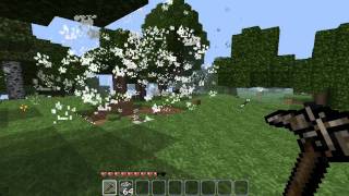 Minecraft FRAPS Quality Test