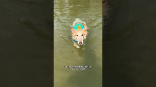 If You Give A Cleo A Cookie, Part 1