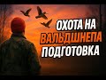 Больше 20 вальдшнепов за одну тягу. Ждём вальдшнепа: тихий вечер в лесу перед охотой.