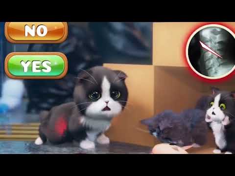 Видео: Have a  time with cute kitties【Kitten Match】ep61