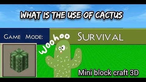 Survival What is the use of cactus mini block craft 3D