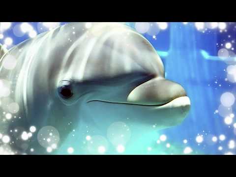 Звуки пеcни дельфинов ☆ для проведения дельфинотерапии (БЕЗ музыки!) Dolphins sounds and noises