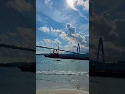 Gülmedi talihim /