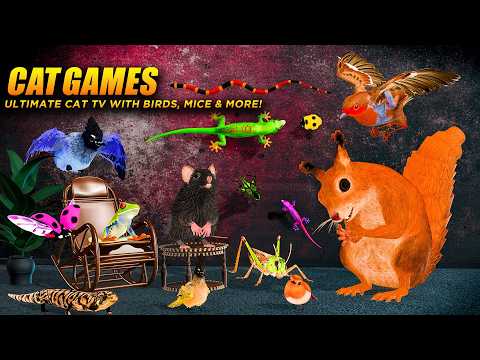Cat Games: Ultimate Mouse, Birds & Bugs Hunt | 8 Hours Cat TV 4K 60FPS