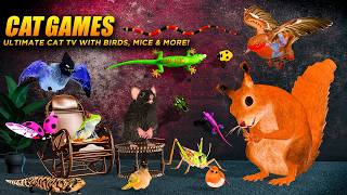 Cat Games: Ultimate Mouse, Birds &amp; Bugs Hunt | 8 Hours Cat TV 4K 60FPS