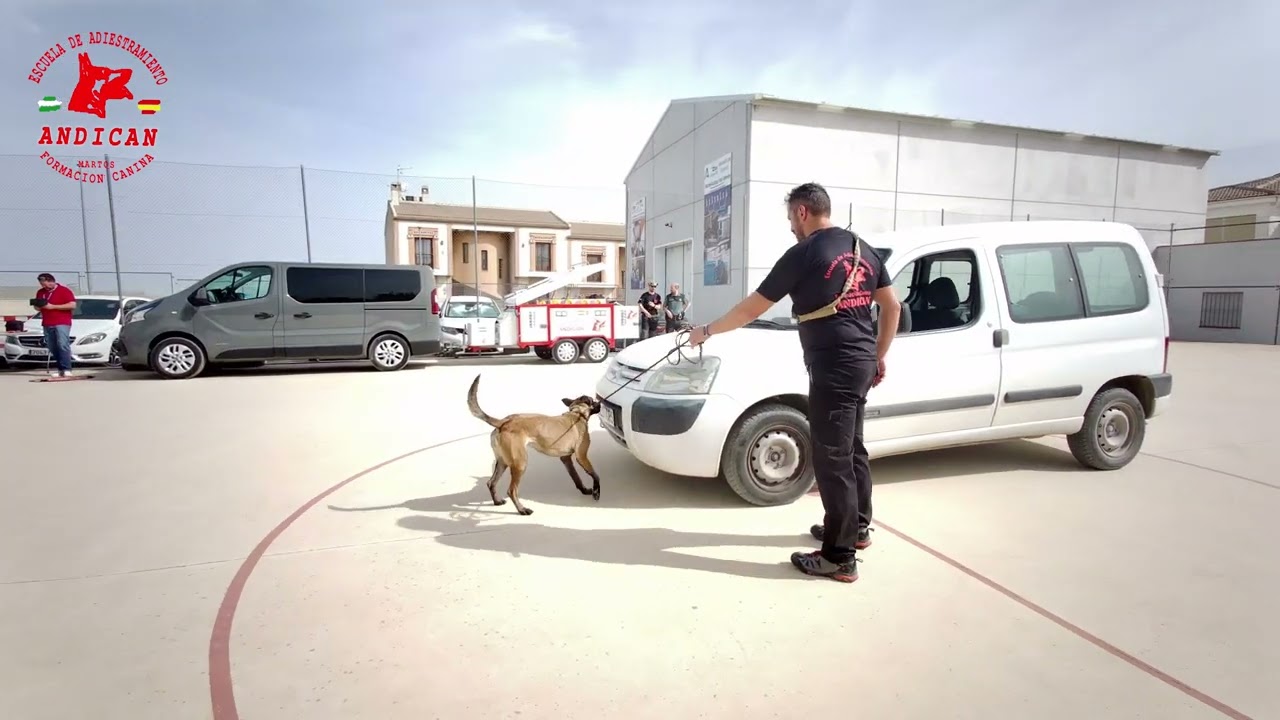 Jornadas Exibicion  IES FERNANDO III Martos (Jaen)