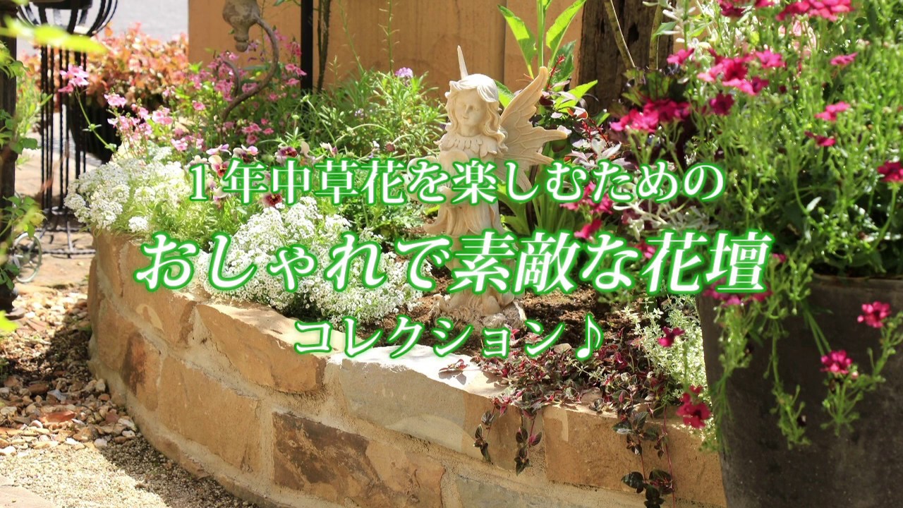 おしゃれで素敵な花壇コレクション 一年中植物を楽しもう 庭からの恵み