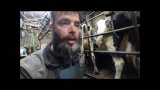 First Herd Test 2021