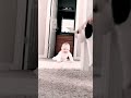أنتي معلمة أنتي معلمة