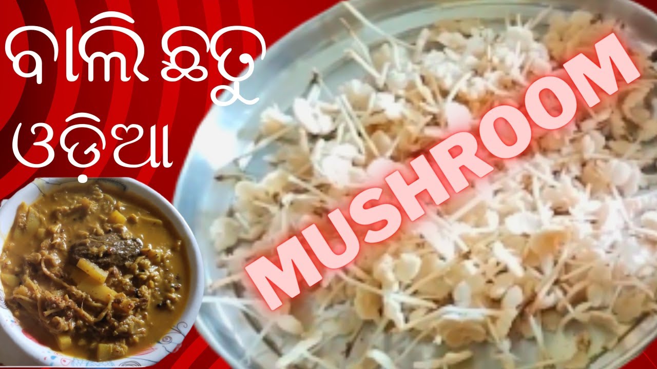 ମାତ୍ର 5 ମିନିଟ ରେ ବନାନ୍ତୁ ଖୁବ ସୁଆଦିଆ ବାଲି ଛତୁ ବେସର/ chhatu tarkari odia ...