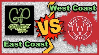 Rare Ball Python Morphs with Gomez Pythons! Wealth