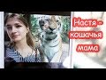 VLOG Настя кошачья мама. Очень хороший день.