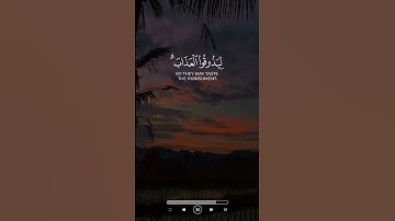 إن الذين كفروا بآياتنا سوف نصليهم نارا                 #قرآن #quran #القرآن_الكريم #تلاوة_خاشعة