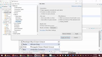 HOWTO: Change the location of the results in DBeaver
