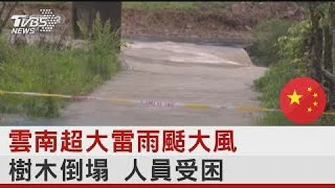 云南超大雷雨刮大风 树木倒塌 人员受困｜TVBS新闻 - 天天要闻