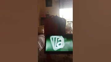 Animaccord Effects 