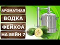 Мацерат из Фейхоа на самогонном аппарате Вейн 7.