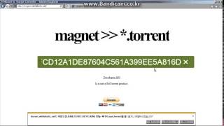 마그넷으로 토렌트 파일 만들기 (Magnet2Torrent)
