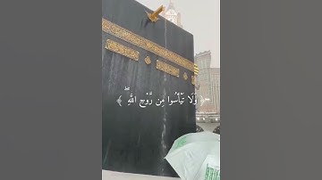 محمد النبا - تلاوة تُريح القلب 🥺🤍