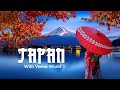 Japan with veena world  veena world