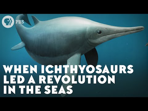 When Ichthyosaurs Led a Revolution in the Seas