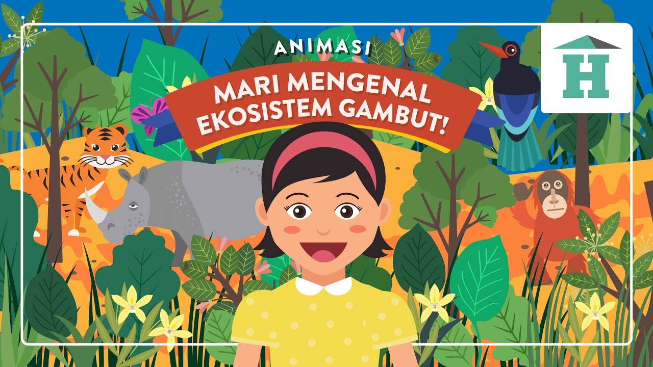 Animasi Anak Mari Mengenal Ekosistem Gambut YouTube