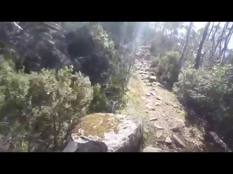 Mt Wellington / Kunanyi Pinnacle Track, Zigzag Track and Icehouse Track Route