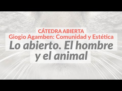 Vídeo: Los Hechos Que Hacen Que Los Científicos Crean En La Existencia De Gnomos - Vista Alternativa