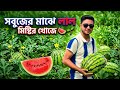 সবুজের মাঝে লাল মিষ্টির খোজে 🍉🌱
